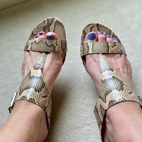 Kenneth Cole Reaction Great Buckle Reptile Print Gladiator Mule Sandals 8.5 - Picture 2 of 11